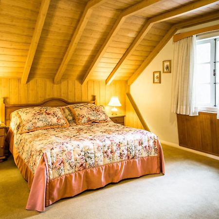 Hotel Stelter São Bento do Sul Buitenkant foto